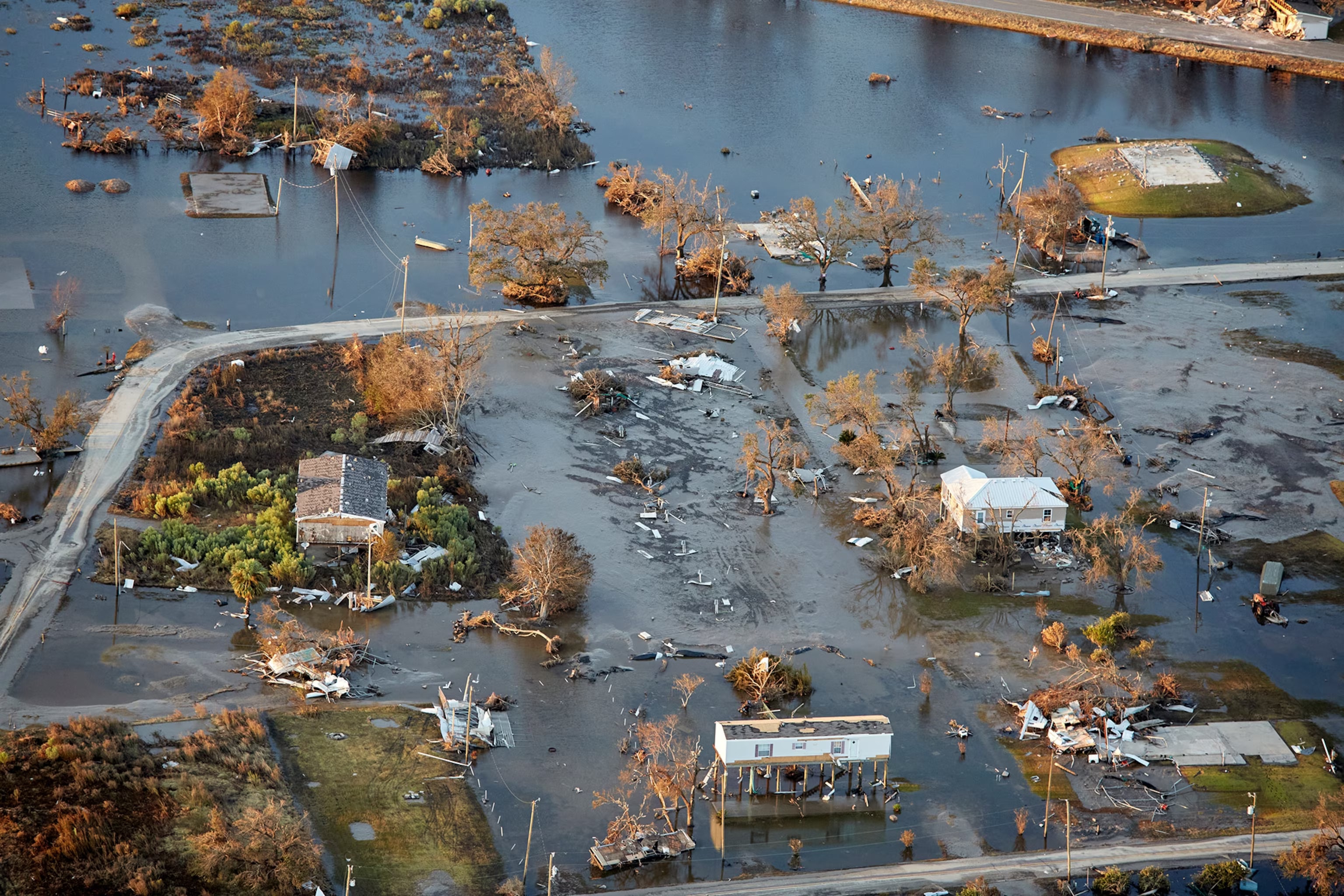 Animals in emergency situations — National Geographic
