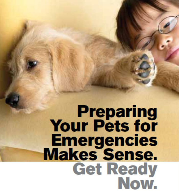 Pet rescue and emergency preparedness in action