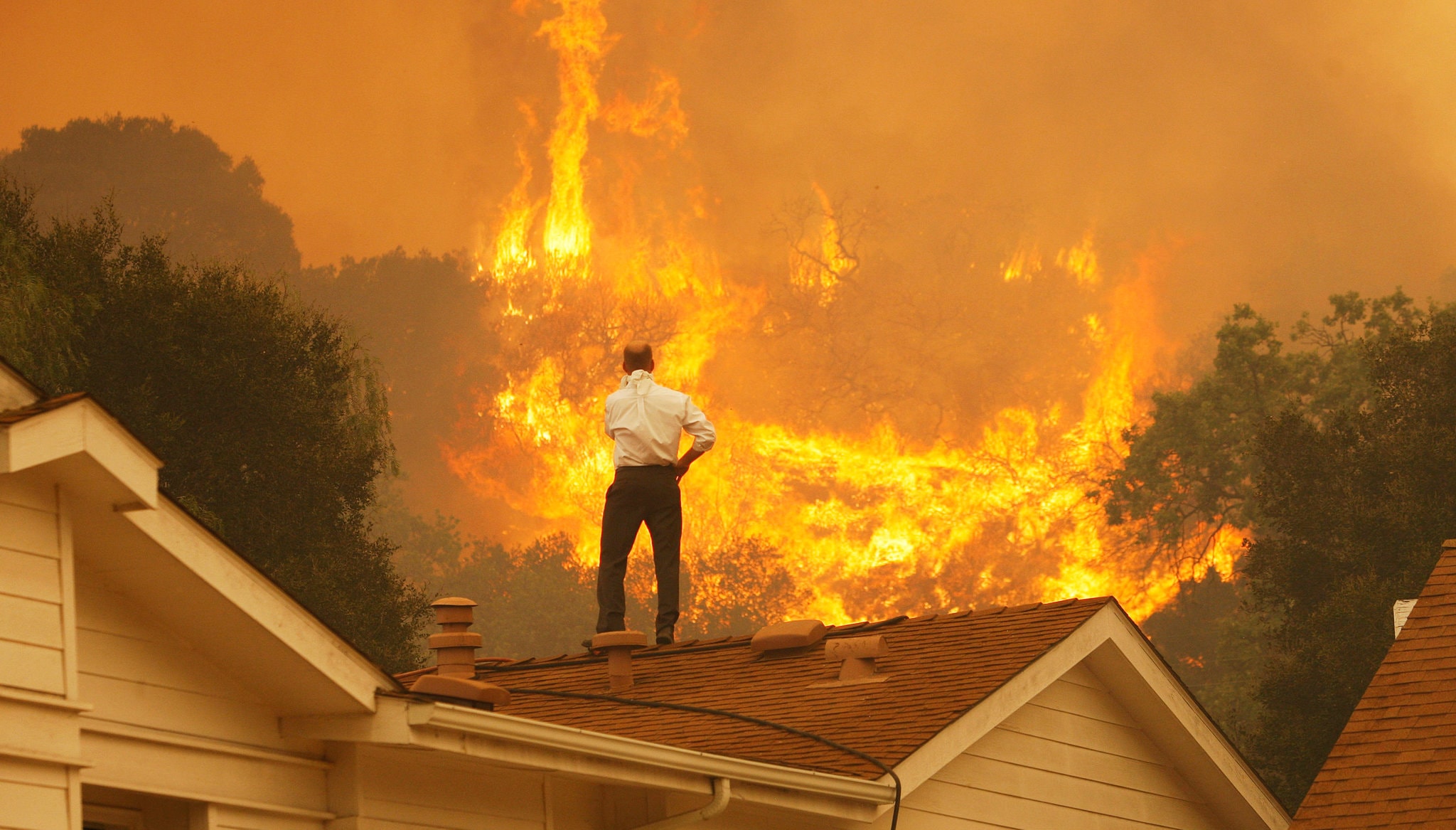 Wildfire